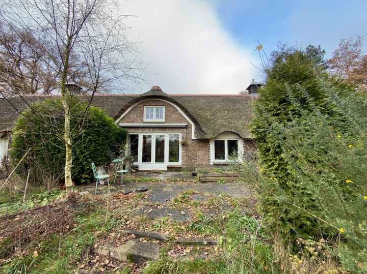 Foto 17 van de Kamp 2