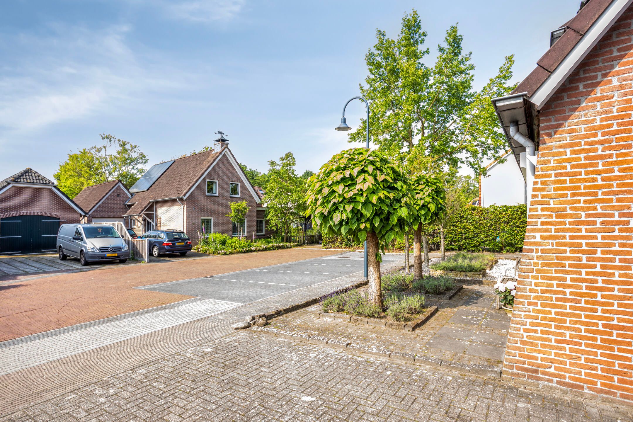 Foto 39 van het Rosbach 26