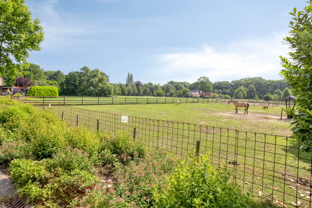 Foto 43 van het Rosbach 26