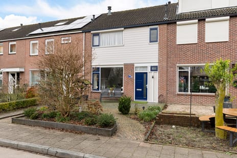 undefined main image