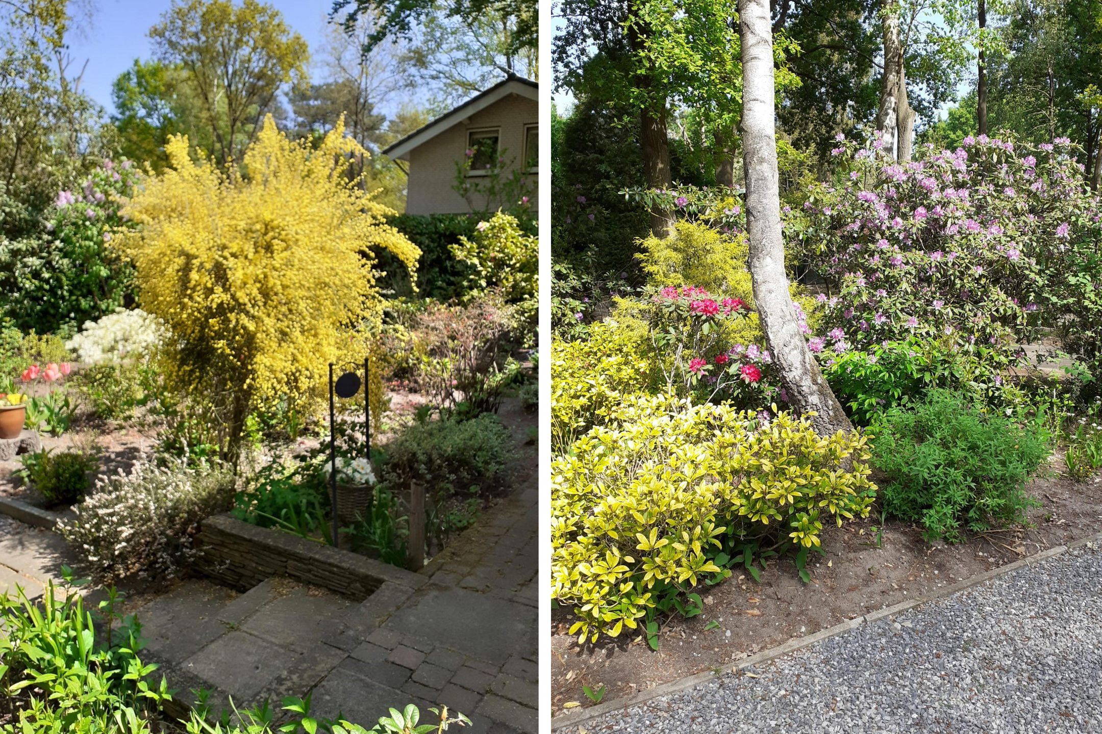 Photo 24 of Kievit 12-B281