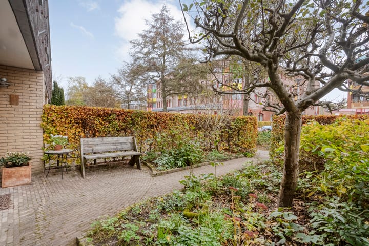 Foto 7 van Sterrenkroos 5