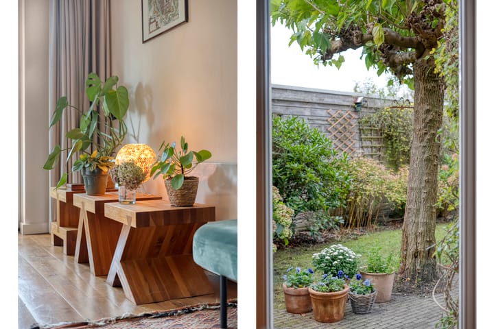 Foto 14 van Sterrenkroos 5