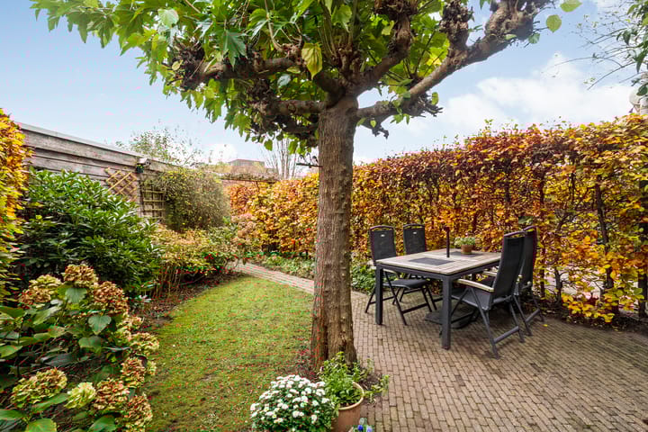 Foto 37 van Sterrenkroos 5