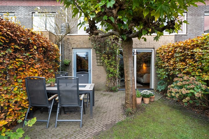 Foto 38 van Sterrenkroos 5