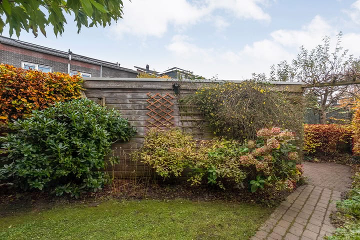 Foto 40 van Sterrenkroos 5