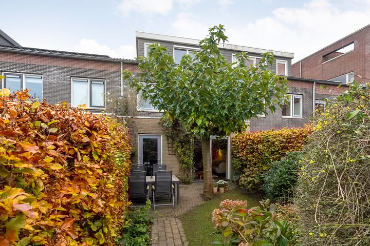 Foto 41 van Sterrenkroos 5