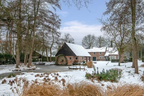 undefined main image