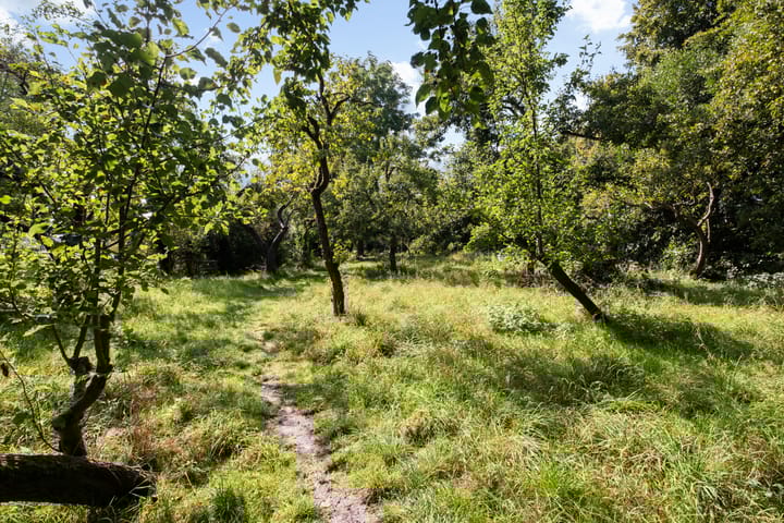 Foto 50 van Norgerveste 1