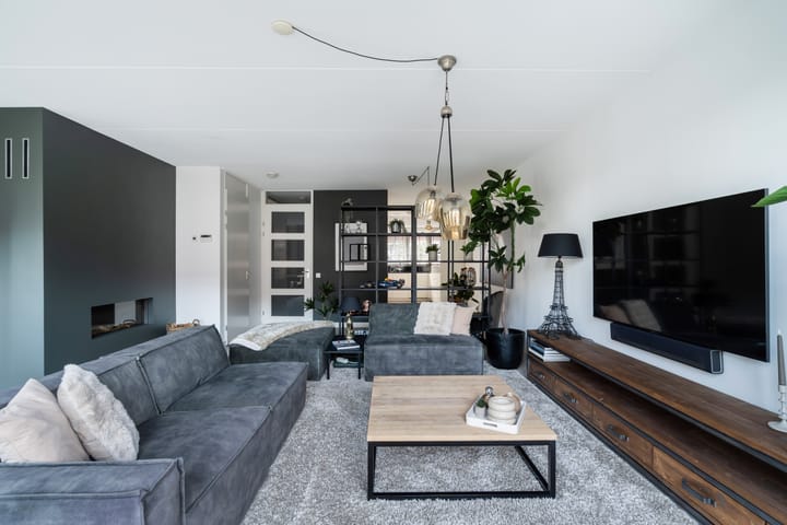 Foto 12 van Zilvermijn 29