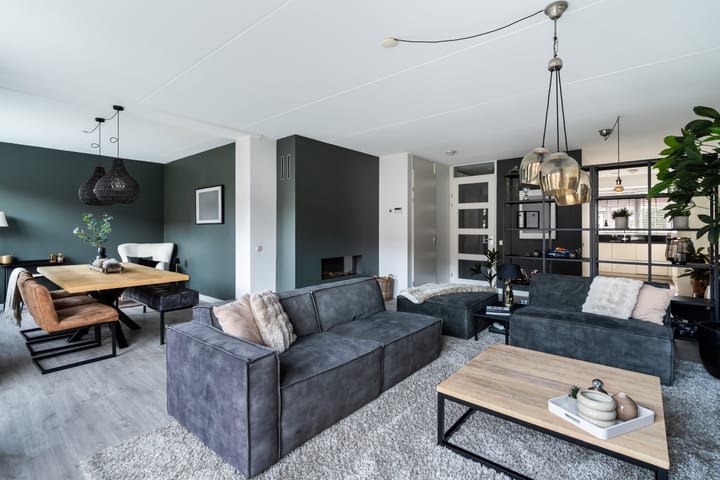 Foto 13 van Zilvermijn 29