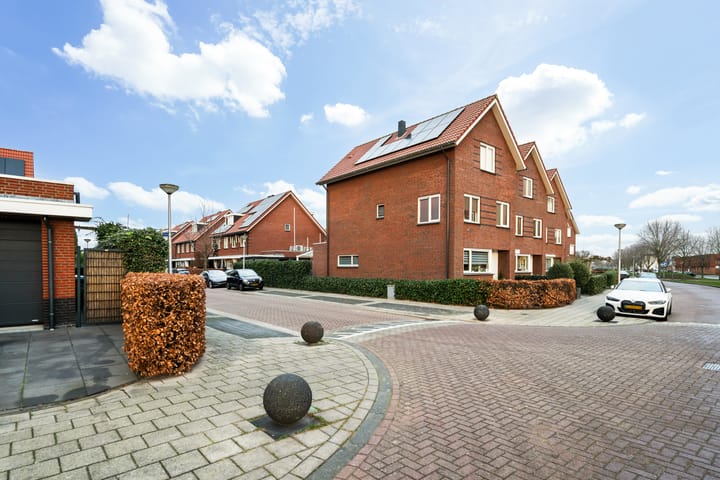 Foto 48 van Zilvermijn 29