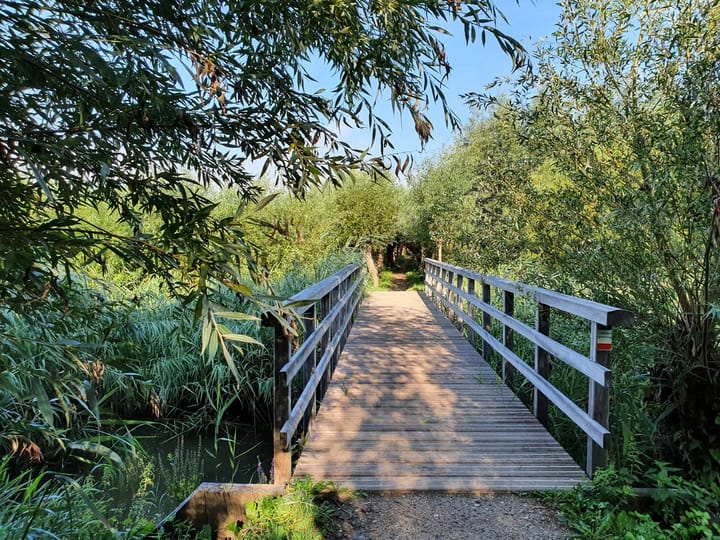 Foto 52 van Zilvermijn 29