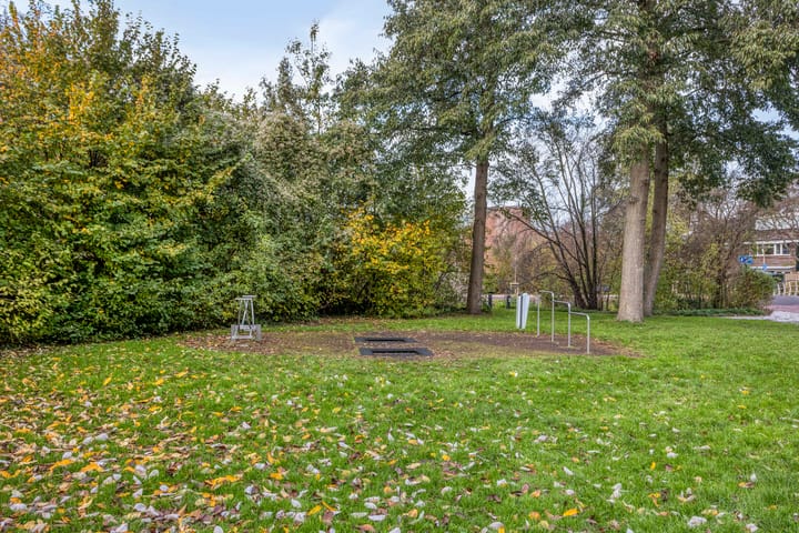 Photo 37 of Klaproos 9