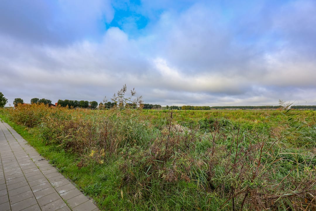 Foto 28 van Anna J. Cooperstraat 63