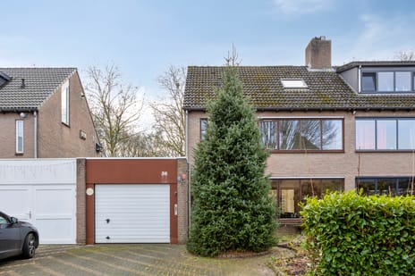 undefined main image