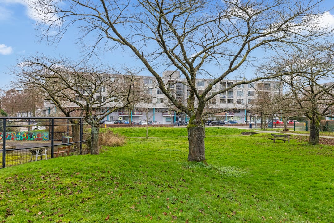 Foto 37 van Aartsbisschop Romerostraat 379