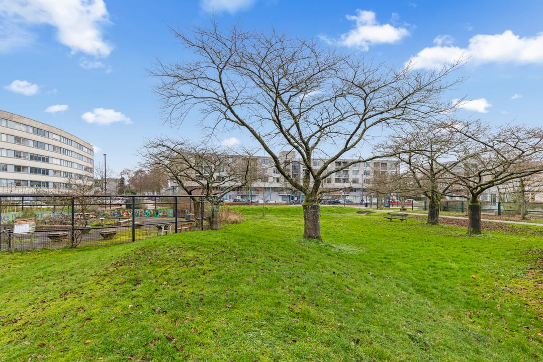 Foto 38 van Aartsbisschop Romerostraat 379