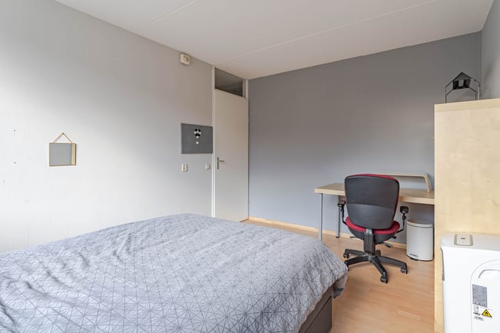 Foto 18 van Schoener 48