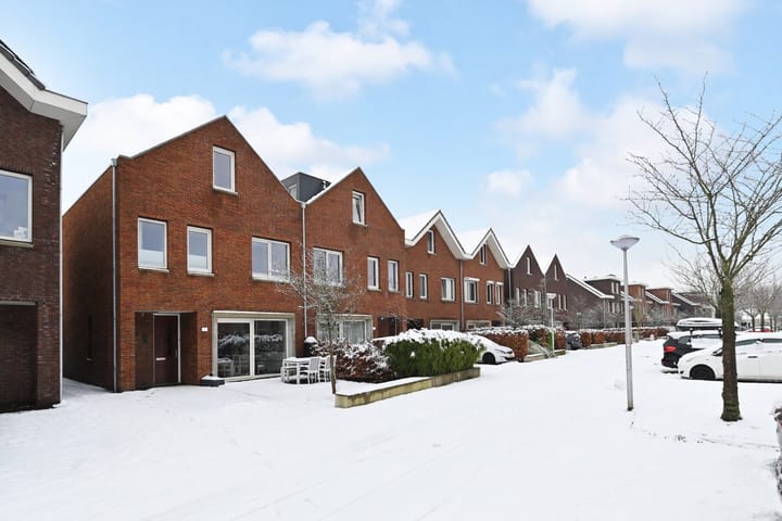 Foto 6 van Druivenmuur 11