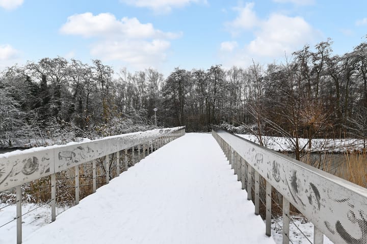 Foto 55 van Druivenmuur 11