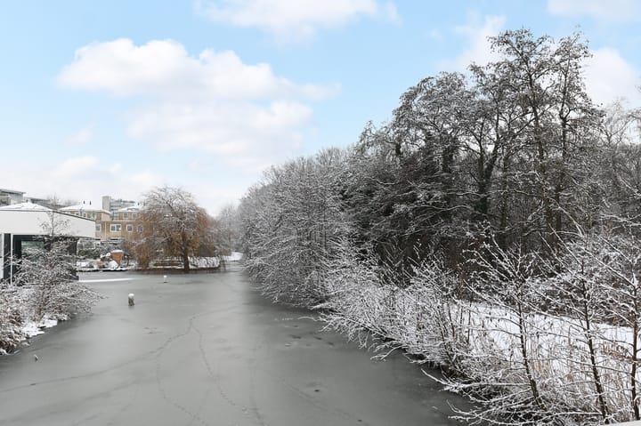 Foto 56 van Druivenmuur 11