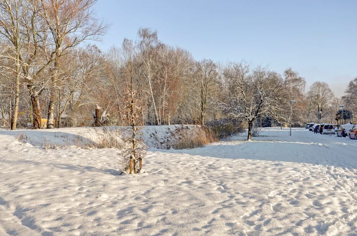 Foto 41 van Zeldenrustlaan 20