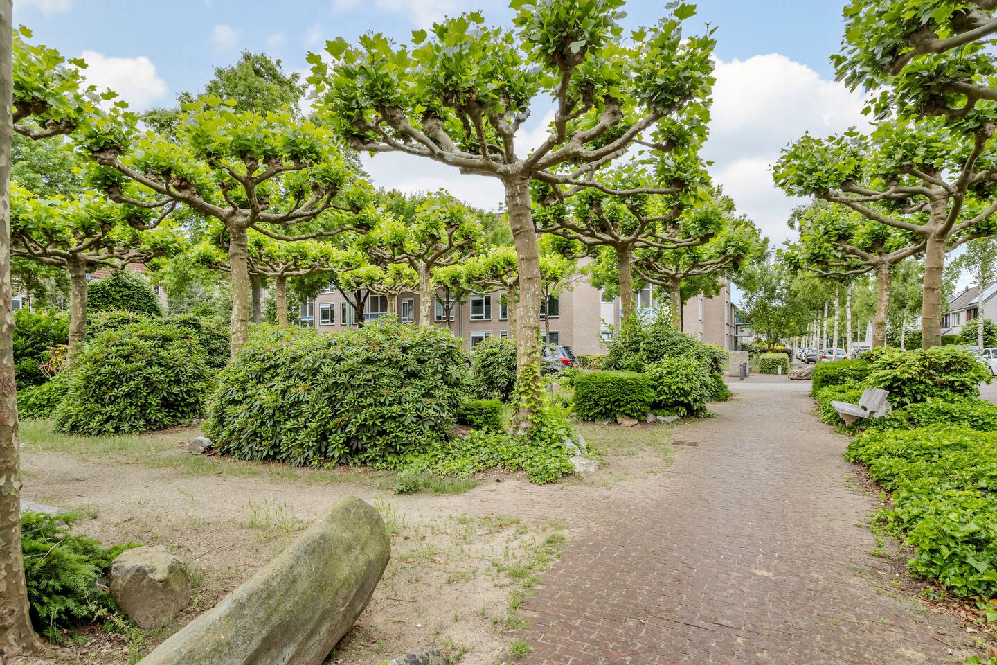 Photo 25 of Wegedoorn 104
