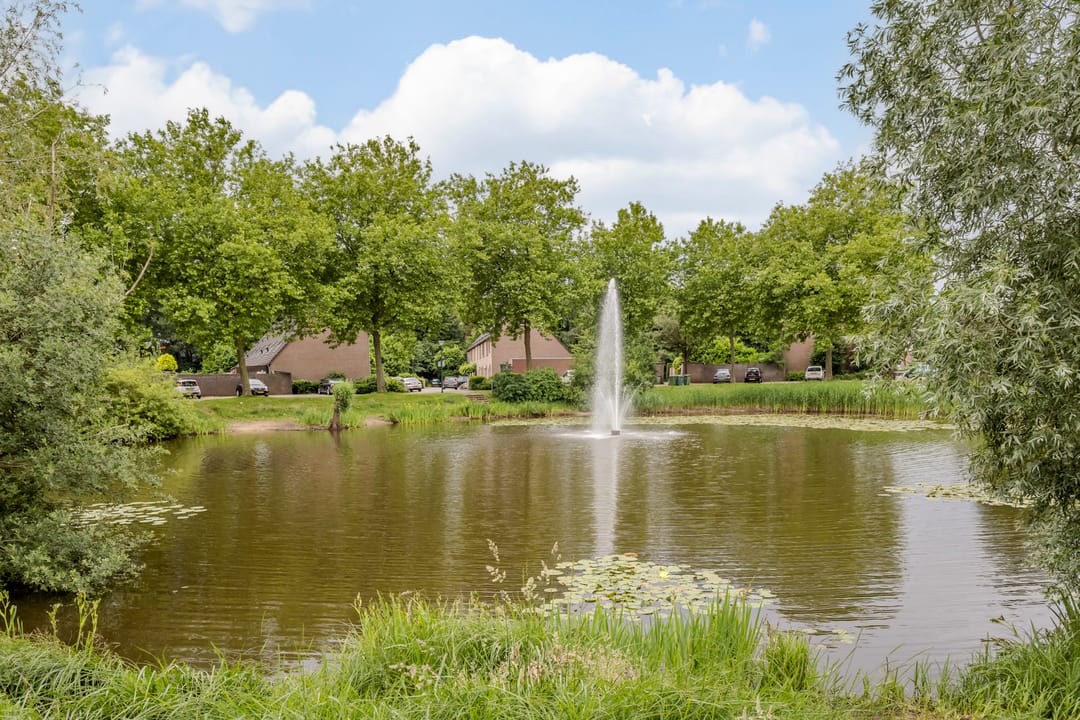 Photo 26 of Wegedoorn 104