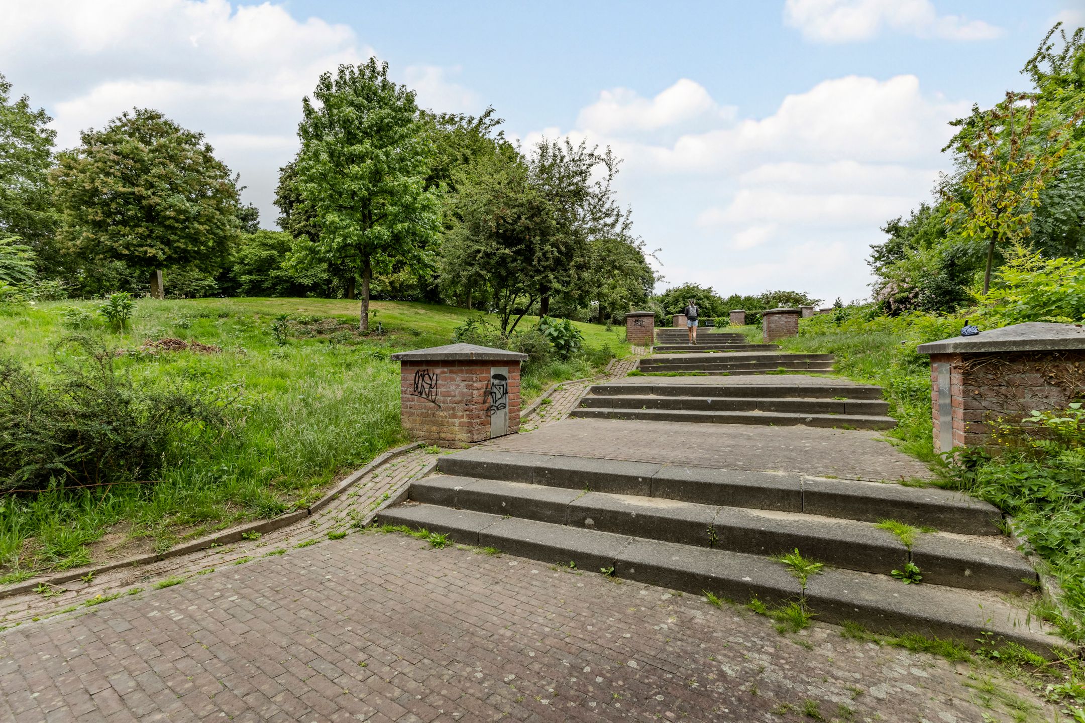 Photo 27 of Wegedoorn 104