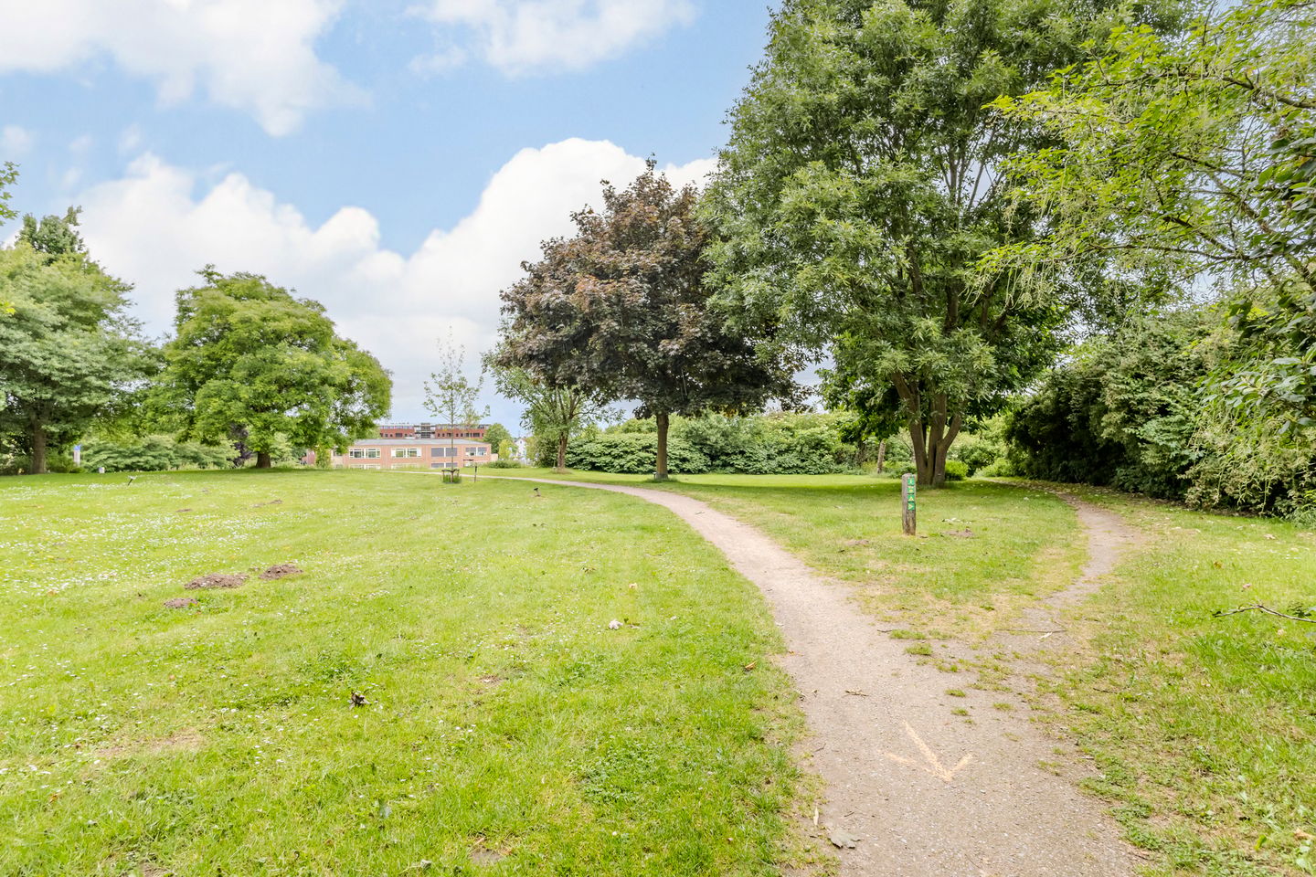 Photo 29 of Wegedoorn 104
