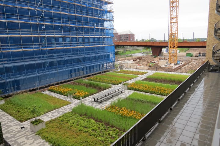 Foto 7 van Spiegeltuin 154