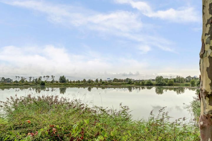 Foto 38 van Zuiderlicht 33