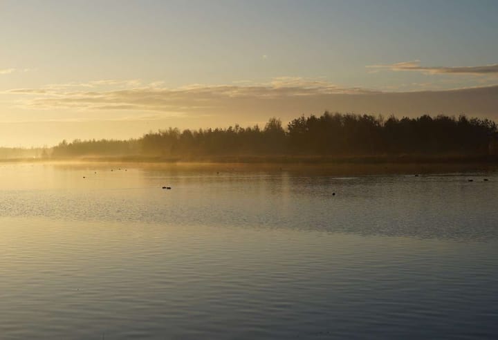 Foto 39 van Zuiderlicht 33