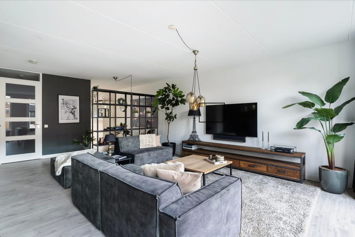 Foto 11 van Zilvermijn 29