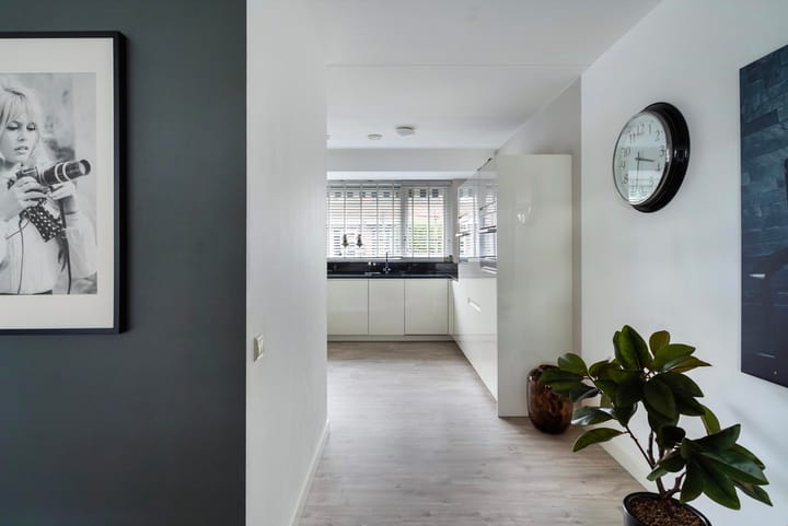 Foto 20 van Zilvermijn 29