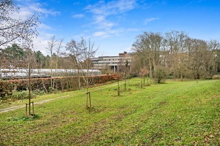 Foto 42 van Plesmanweg 565