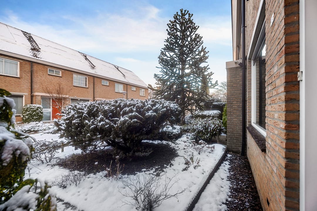 Photo 22 of Rustenburg 6