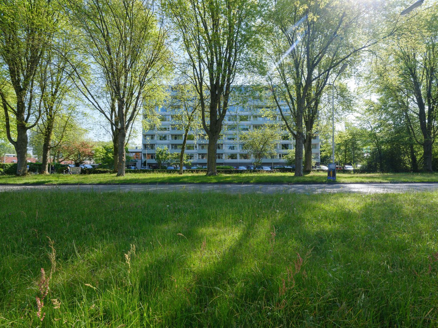 Photo 1 of Burgemeester Wuiteweg 249