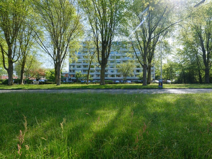 Burgemeester Wuiteweg 249