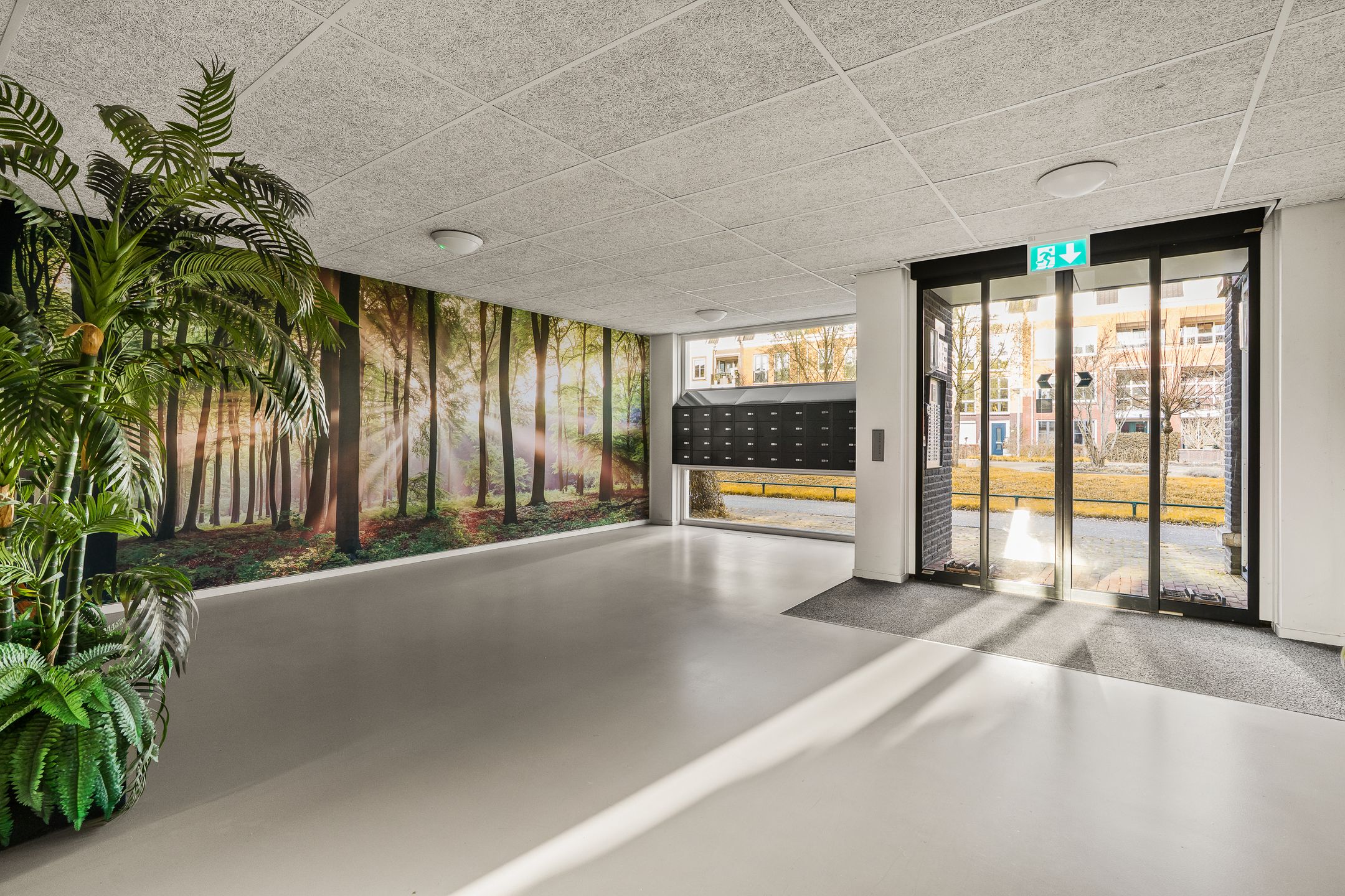 Photo 6 of Coelhorst 32