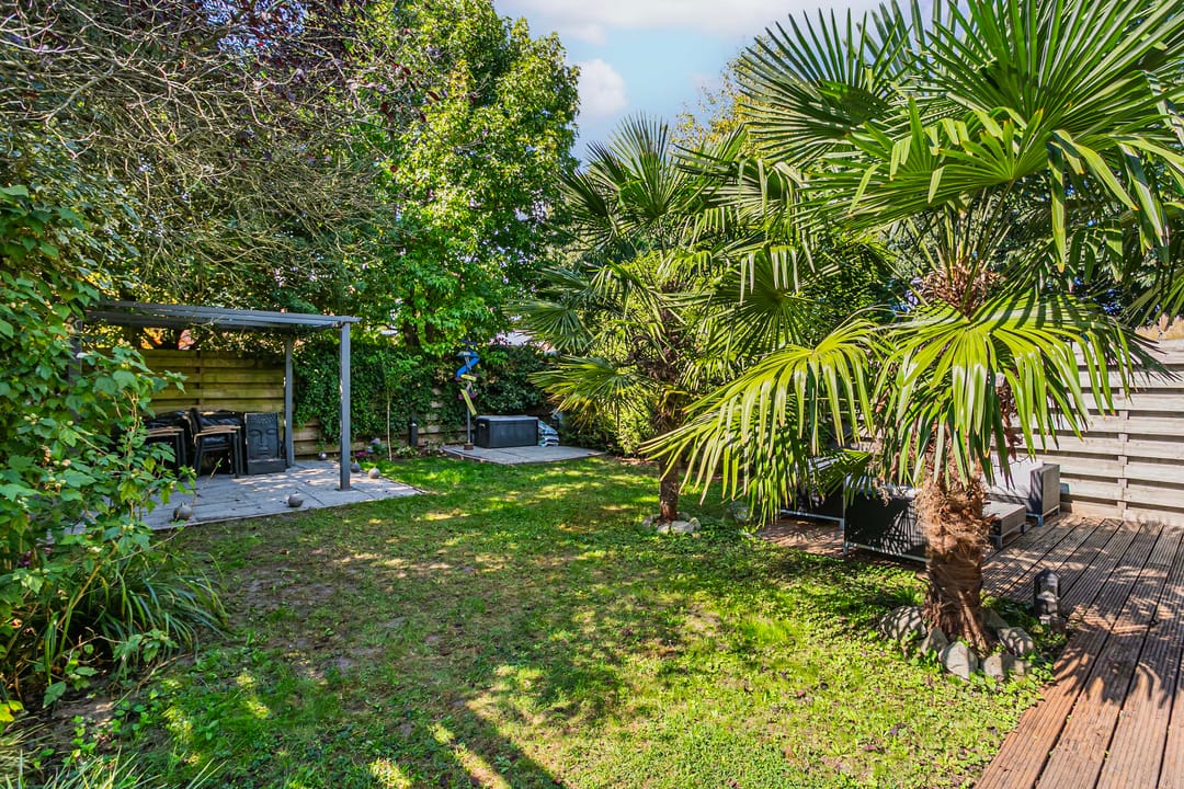 Photo 26 of Tjonger 3