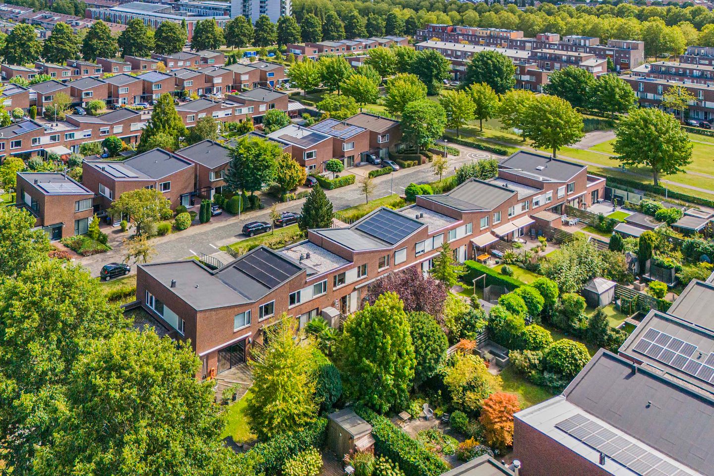 Photo 29 of Tjonger 3