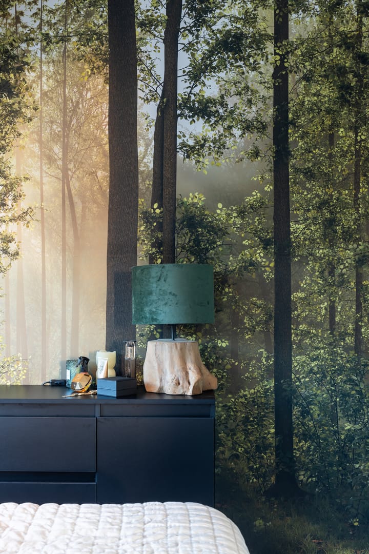 Foto 51 van Schokker 70