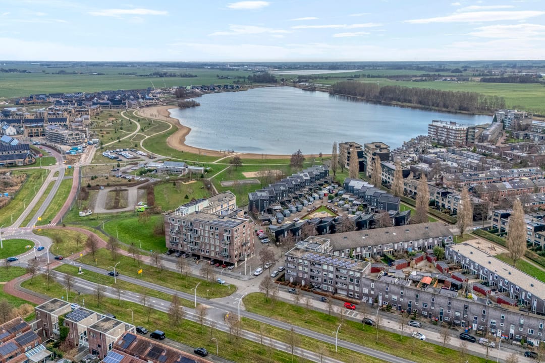 Foto 2 van Lisdodde 1