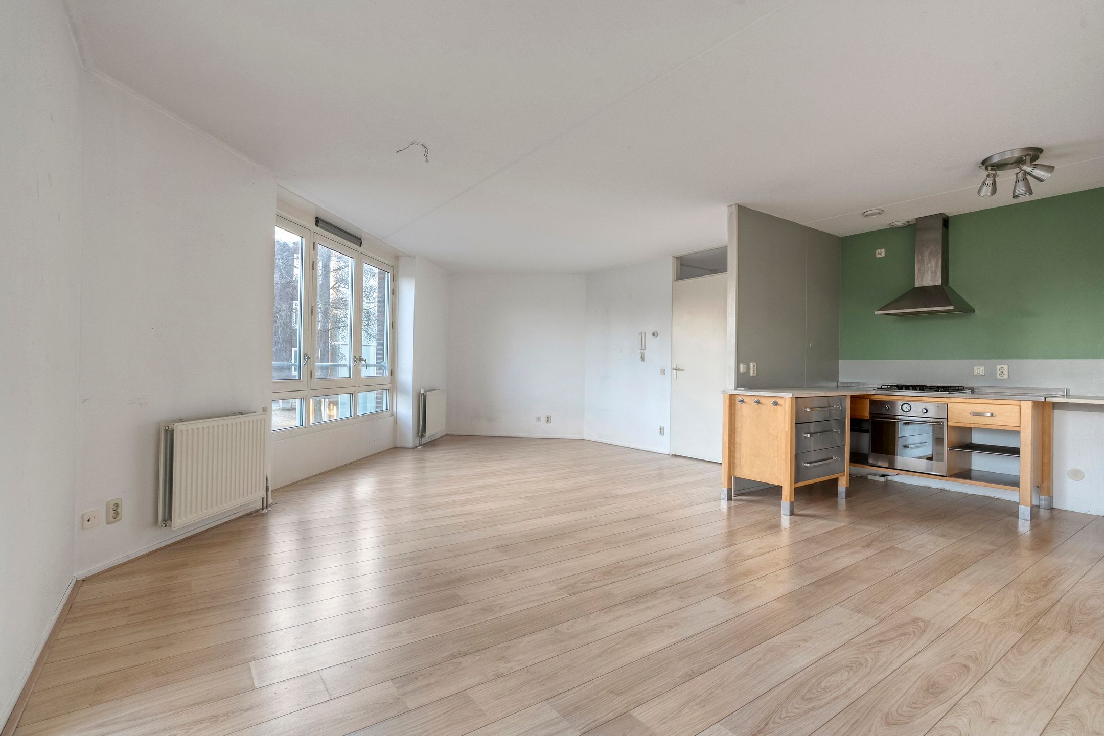 Foto 6 van Lisdodde 1