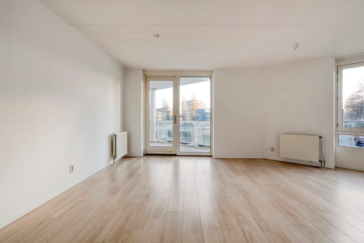 Foto 7 van Lisdodde 1