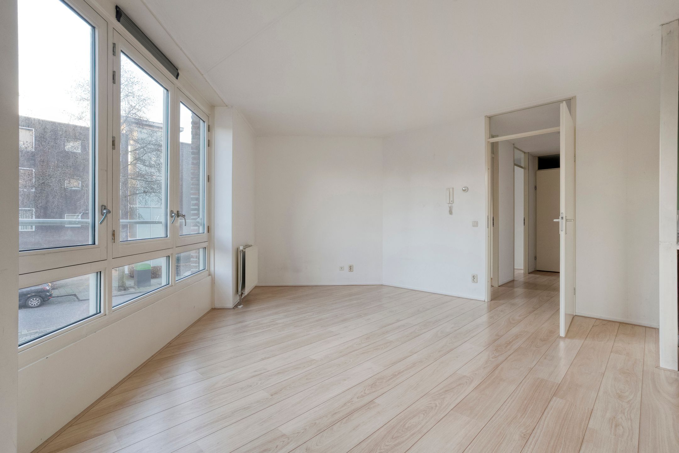 Foto 9 van Lisdodde 1