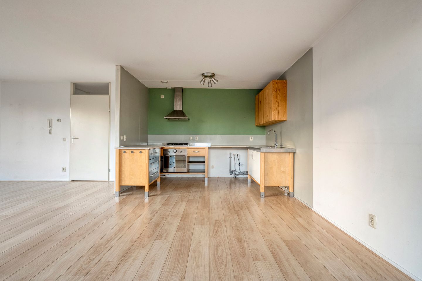 Foto 10 van Lisdodde 1