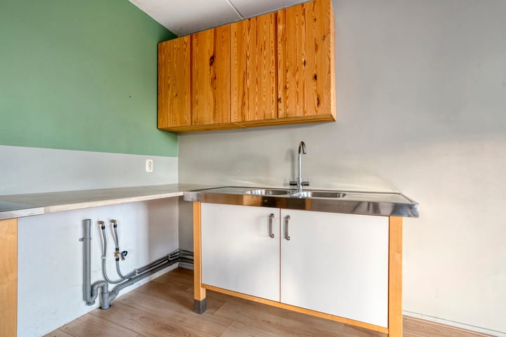 Foto 12 van Lisdodde 1